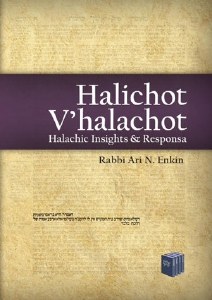 Halichot V'halachot: Halachic Insights [Hardcover]