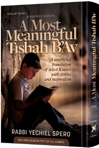 A Most Meaningful Tishah B'Av [Hardcover]