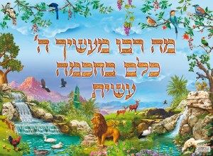 Laminated Sukkah Poster Ma Rabu