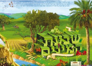 Laminated Poster Shivat Hamini