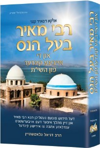 Rebbi Meir Baal Haness and the Eternal Children of Hashem Yiddish Edition [Hardcover]