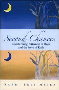 Second Chances - Hardcover