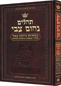 Tehillim Nochum Tzvi Extra Large Type Tehillim With English Introductions [Hardcover]