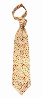Passover Matzah Tie