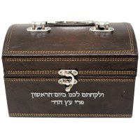 Faux Leather Esrog Box with Handle and Clasp Brown