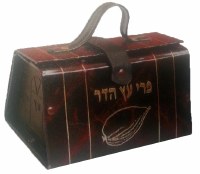 Vinyl Esrog Box with Handle Brown and Gold