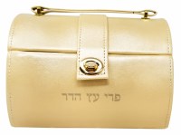Faux Leather Esrog Box Cream Designed with Handle and Lock