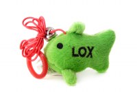 Plush Toy Lox the Fish with Catnip