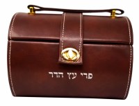 Faux Leather Esrog Box Brown Designed with Handle and Lock