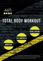 Aidel's Gym Total Body Workout DVD
