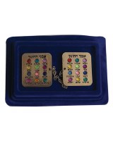 Nickel Tallis Clips with Choshen Stones