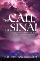 The Call of Sinai [Hardcover]