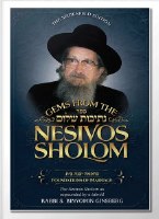 Gems from the Nesivos Shalom Foundations of Marriage [Hardcover]