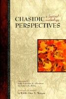 Chasidic Perspectives [Hardcover]