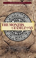 The Months of Tamuz and Av [Hardcover]