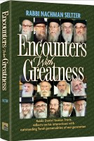 Encounters With Greatness [Hardcover]