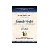 Talelei Oros Bamidbar Numbers [Hardcover]