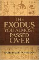 The Exodus You Almost Passed Over [Hardcover]