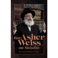 Rav Asher Weiss on Mo'adim Elul and the Holidays of Tishrei [Hardcover]