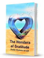 The Wonders of Gratitude [Paperback]