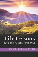 Life Lessons For The Yamim Noraim [Paperback]
