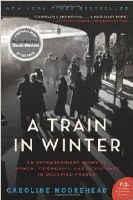 A Train in Winter PB