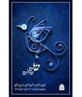 Sim Shalom Hebrew [Hardcover]