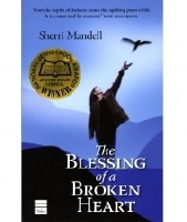 The Blessing of a Broken Heart [Paperback]