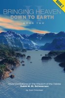 Bringing Heaven Down to Earth - Book 2 - Paperback