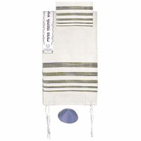 Yair Emanuel Hand Woven Raw Silk Tallit with Embroidered Atara - Silver 21" x 77"