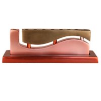 Yair Emanuel Judaica Aluminum Cast Candle Menorah Wave Gold & Red