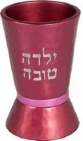 Yair Emanuel Pink Hammered Yalda Tova Cup