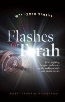 Flashes of Torah [Hardcover]