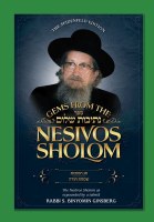 Gems from the Nesivos Shalom Chag HaSukkos & Simchas Torah [Hardcover]