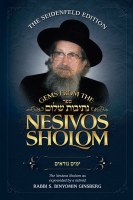 Gems from the Nesivos Shalom: Pirkei Avos [Hardcover]