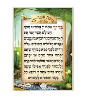 Asher Yatzar Laminated Card 5" x 7.5"