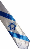 Israeli Flag Necktie with Star of David