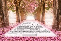 Ketubah Journeys Design