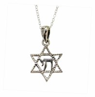 Silver Star of David Necklace #MJB1608