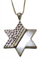 Silver Star Of David Necklace #MJB5323