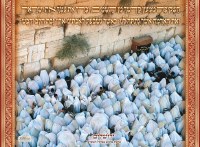 Laminated Sukkah Poster Birchas Kohanim at the Kosel