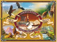 Laminated Sukkah Poster Yehuda Ben Teima