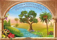 Laminated Sukkah Poster Ilan Ilan