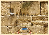 Laminated Sukkah Poster Kosel