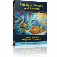 Paradigm Process and Paradox [Paperback]