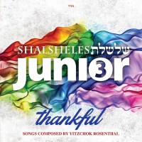Shalsheles Junior Volume 3