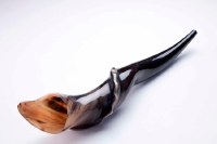Shofar Eland Horn Extra Large 23"