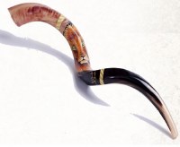 Yemenite Kudu Horn Shofar Hand Painted with Lion of Judah Motif