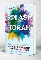 Splash Of Torah Life Cycle [Hardcover]