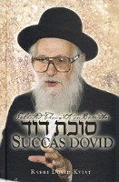 Succas David vol. 4: Bamidbar